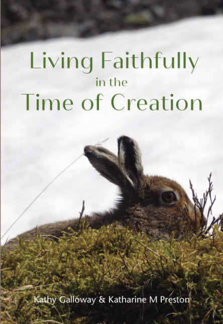 Living Faithfully in the Time of Creation - Re-vived
