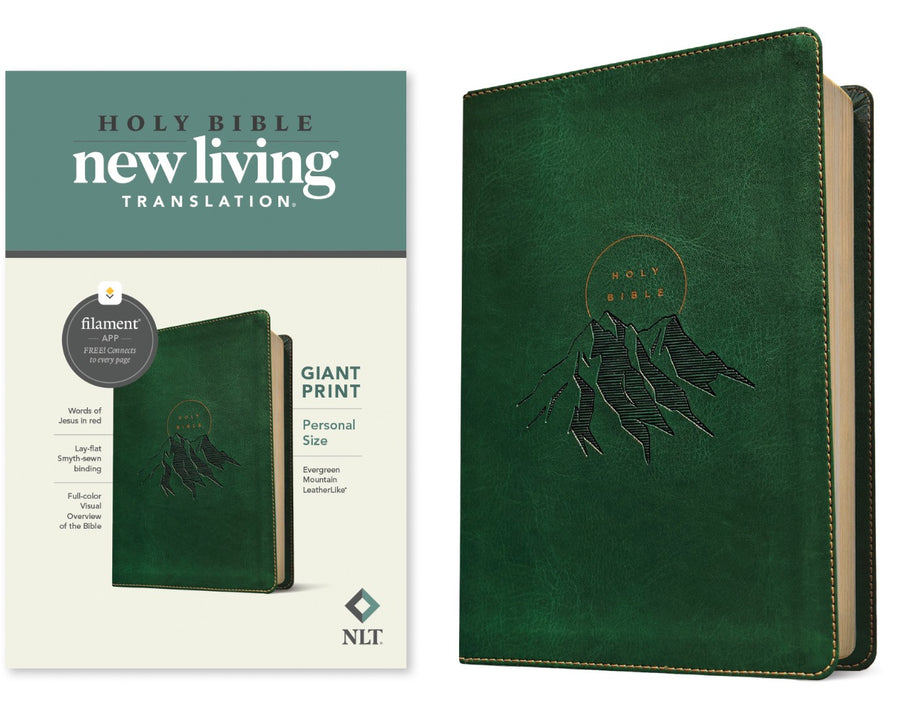 NLT Personal Size Giant Print Bible, Filament Edition - Re-vived