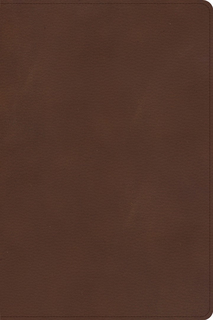 CSB Rainbow Study Bible, Brown LeatherTouch, Indexed