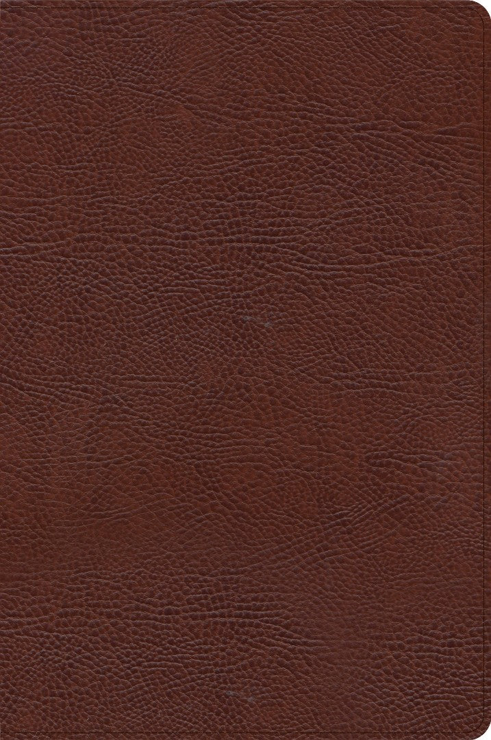 CSB Large Print Thinline Bible, Brown Bonded Leather
