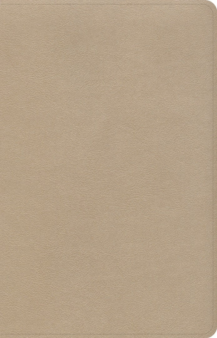 CSB Large Print Personal Size Reference Bible, Gold