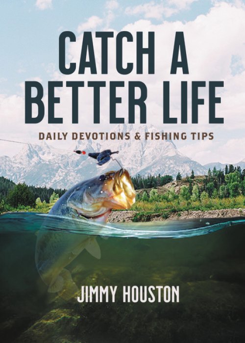 Catch a Better Life - Re-vived