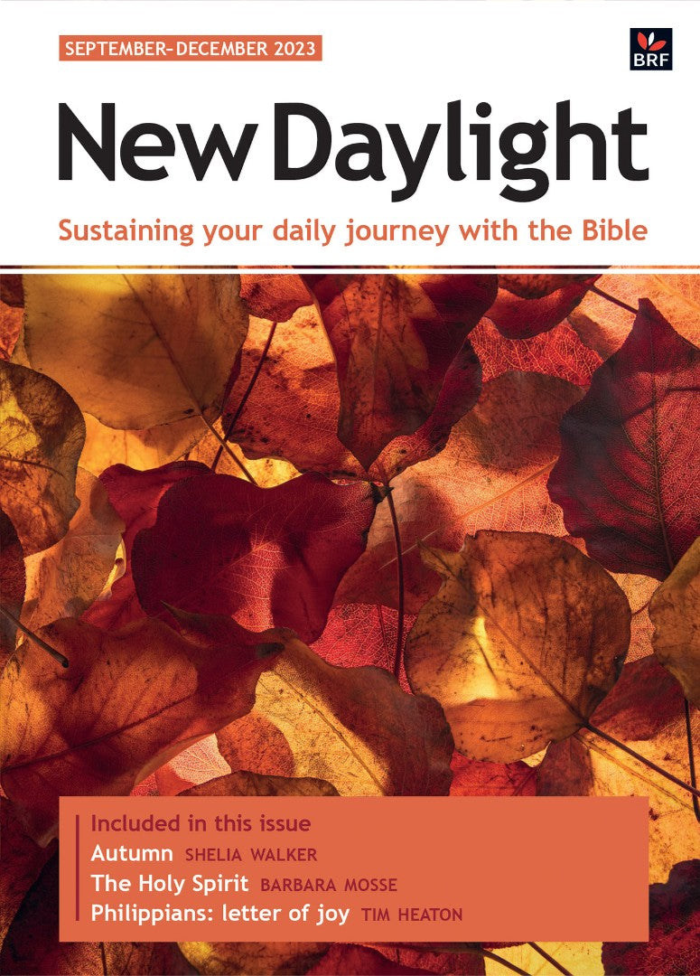 New Daylight September-December 2023