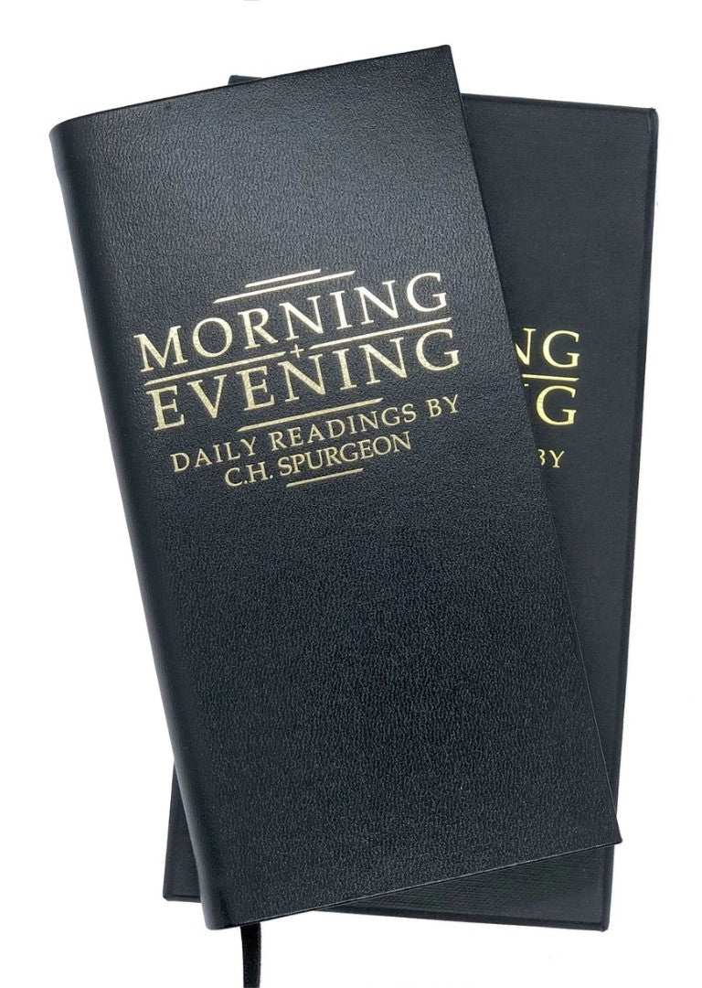 Morning and Evening, Black - Re-vived