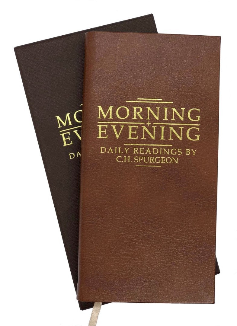 Morning and Evening, Tan - Re-vived