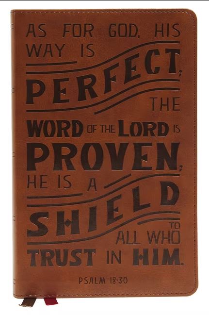 NKJV Personal Size Reference Bible, Tan, Red Letter - Re-vived