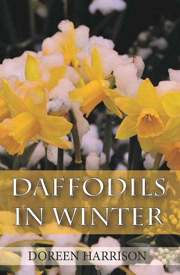 Daffodils in Winter - Re-vived