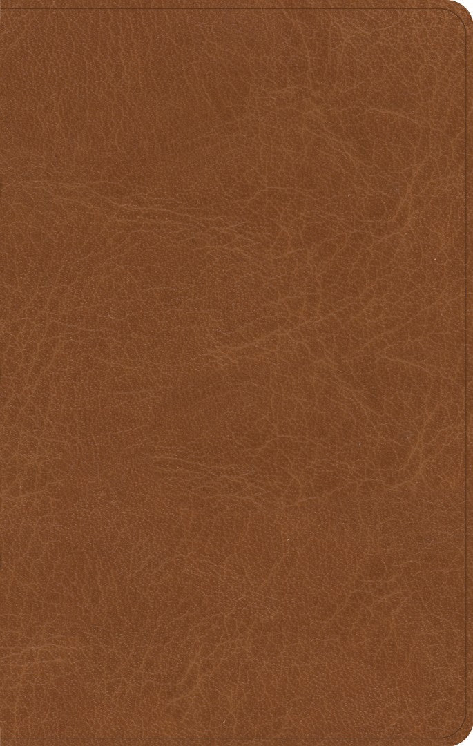 CSB Single-Column Personal Size Bible, Saddle