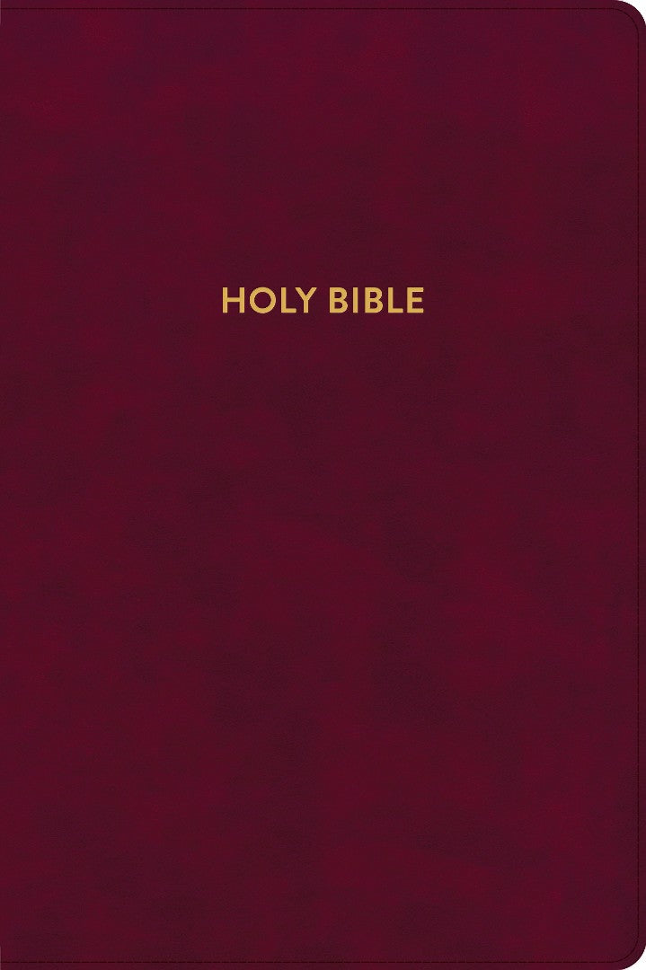 KJV Rainbow Study Bible, Burgundy LeatherTouch, Indexed