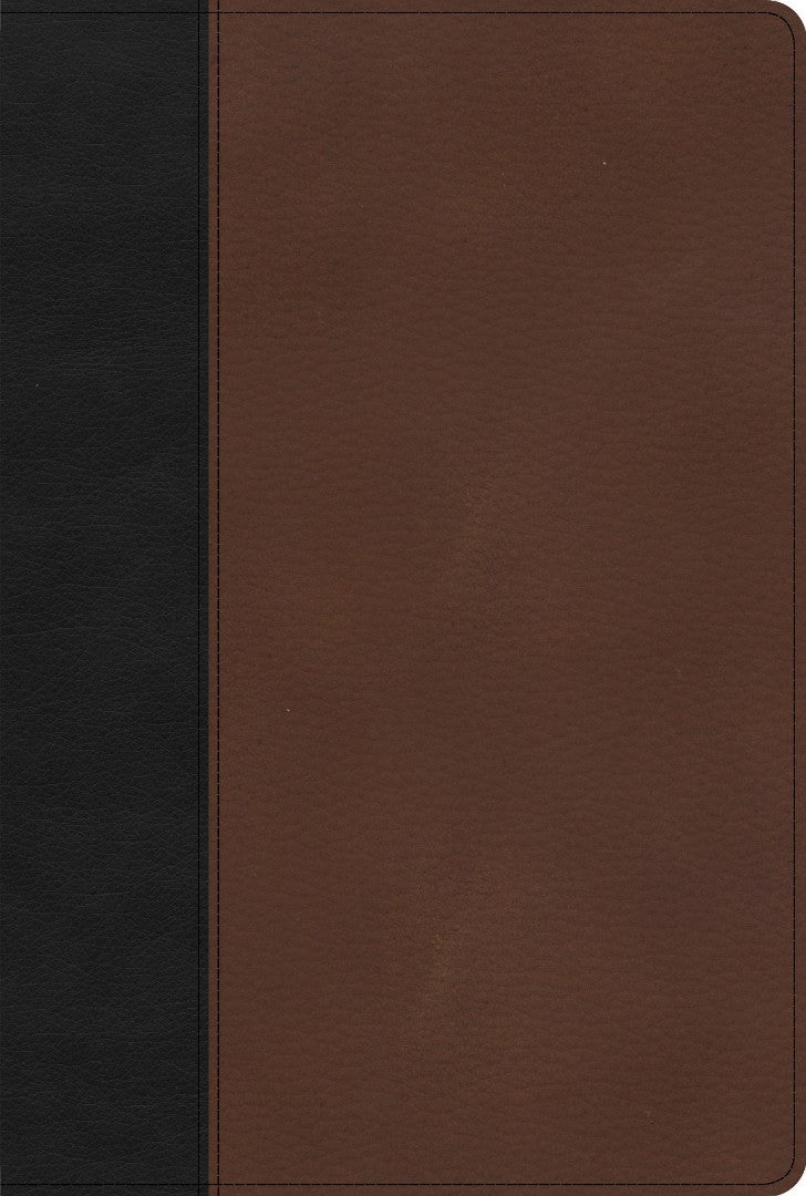 KJV Large Print Thinline Bible, Black/Brown LeatherTouch - Re-vived
