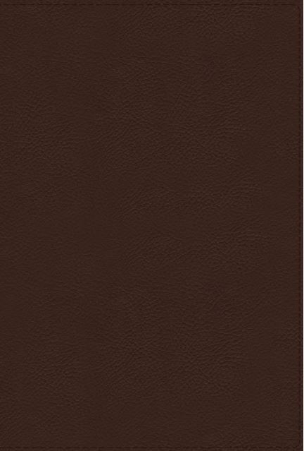 NRSVue Holy Bible with Apocrypha Leathersoft, Brown