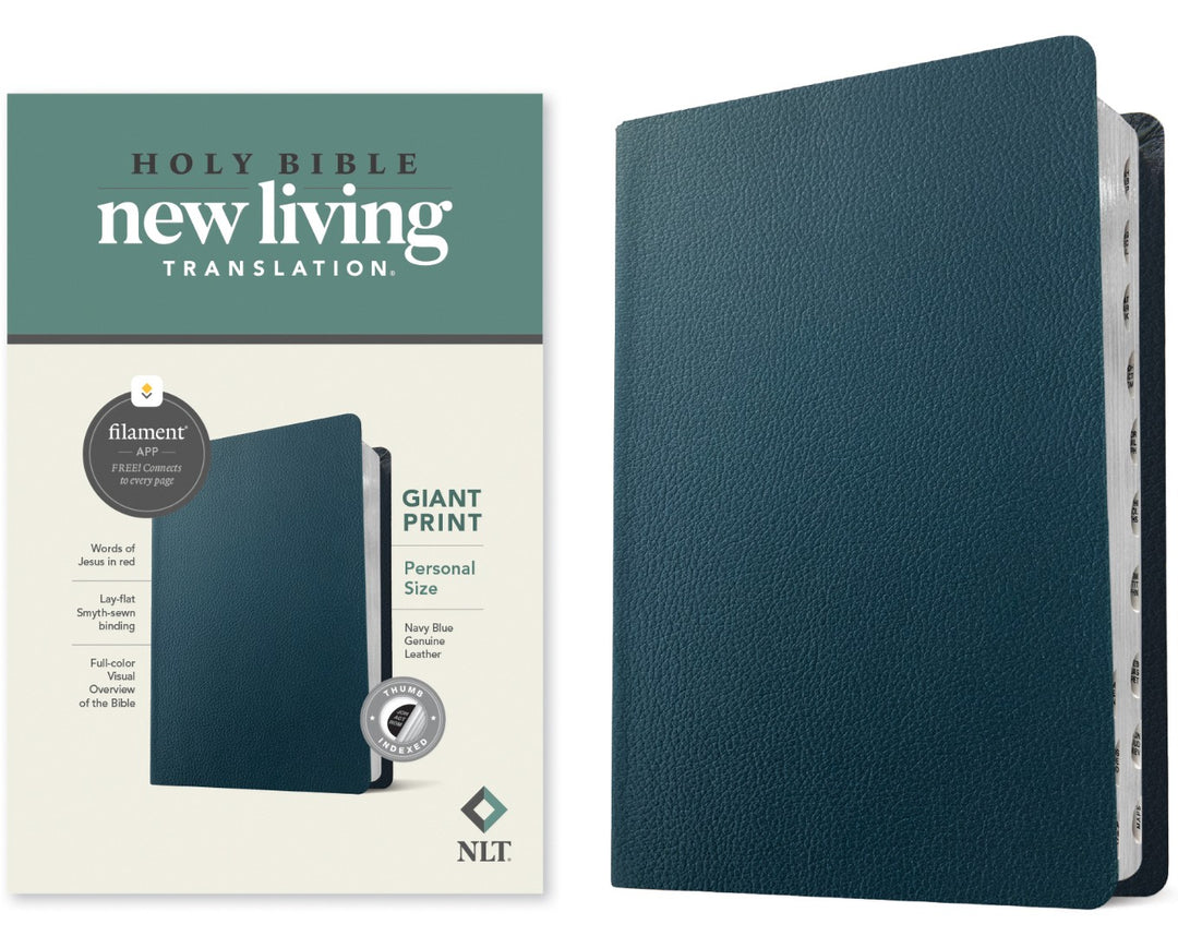 NLT Personal Size Giant Print Bible, Filament Edition - Re-vived