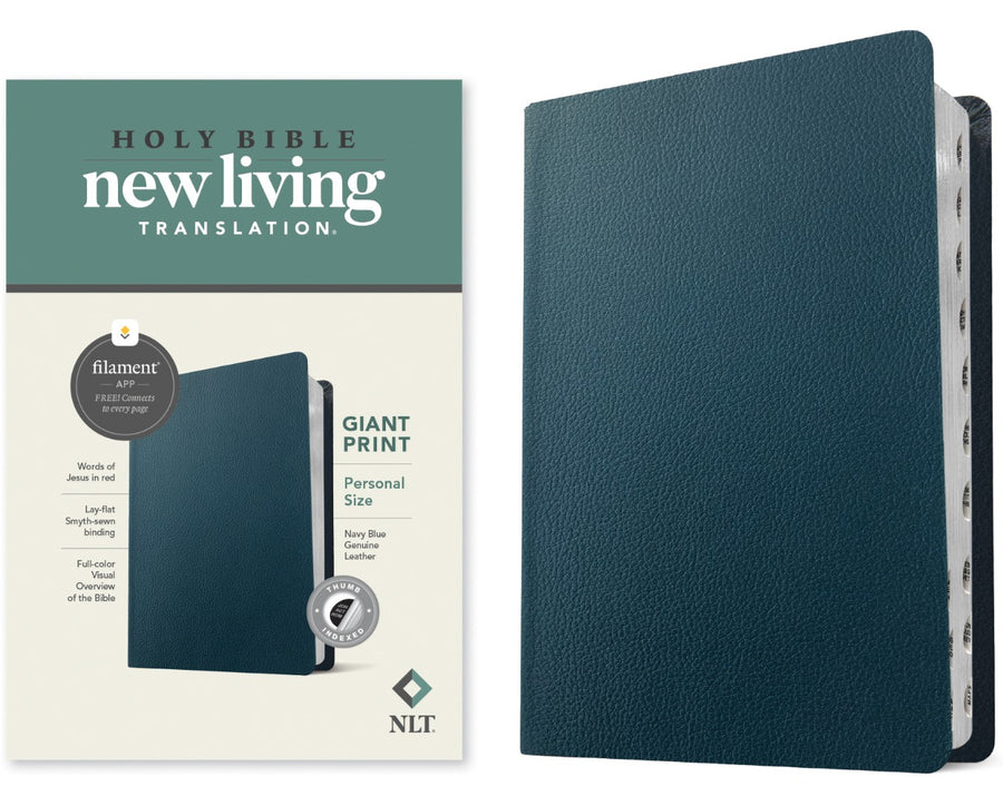 NLT Personal Size Giant Print Bible, Filament Edition - Re-vived