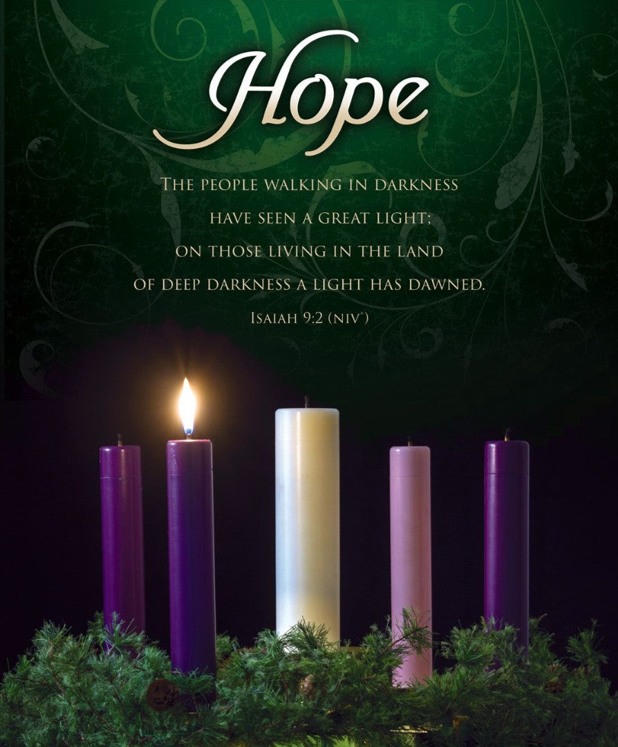 Hope Advent Week 1 Large Bulletin (pack of 100) - Re-vived