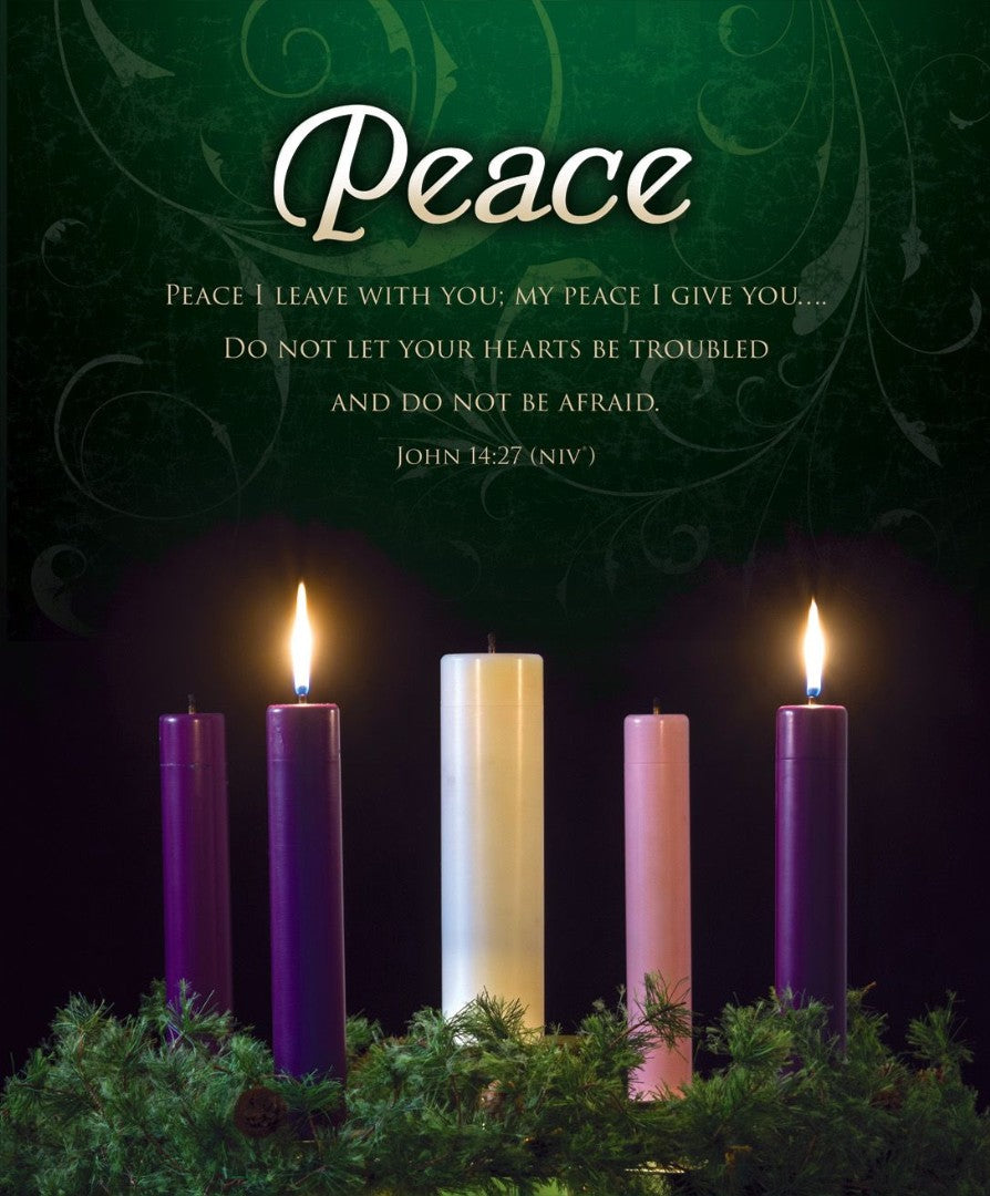 Peace Advent Week 2 Large Bulletin (pack of 100) - Re-vived