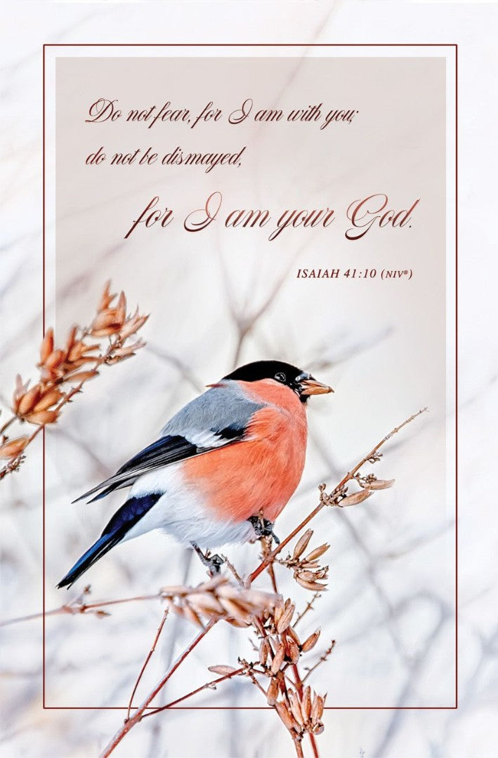 Do Not Fear For I Am With You Bulletin (pack of 100) - Re-vived