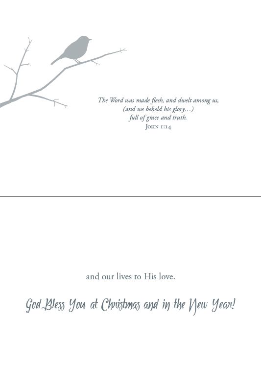 Christmas Birds Boxed Christmas Cards (Box of 12) - Re-vived
