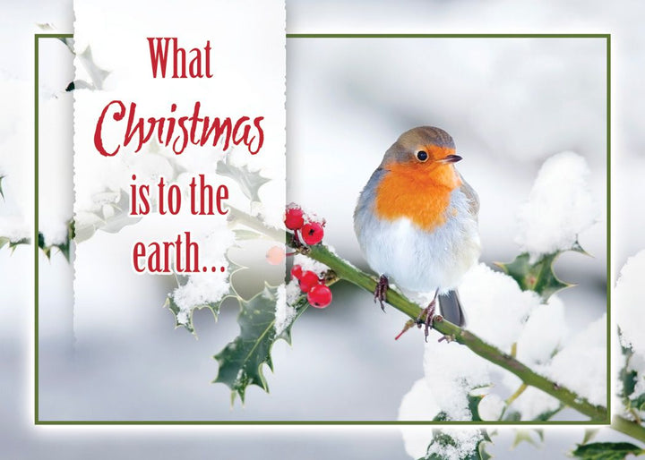 Christmas Birds Boxed Christmas Cards (Box of 12) - Re-vived
