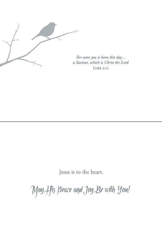 Christmas Birds Boxed Christmas Cards (Box of 12) - Re-vived