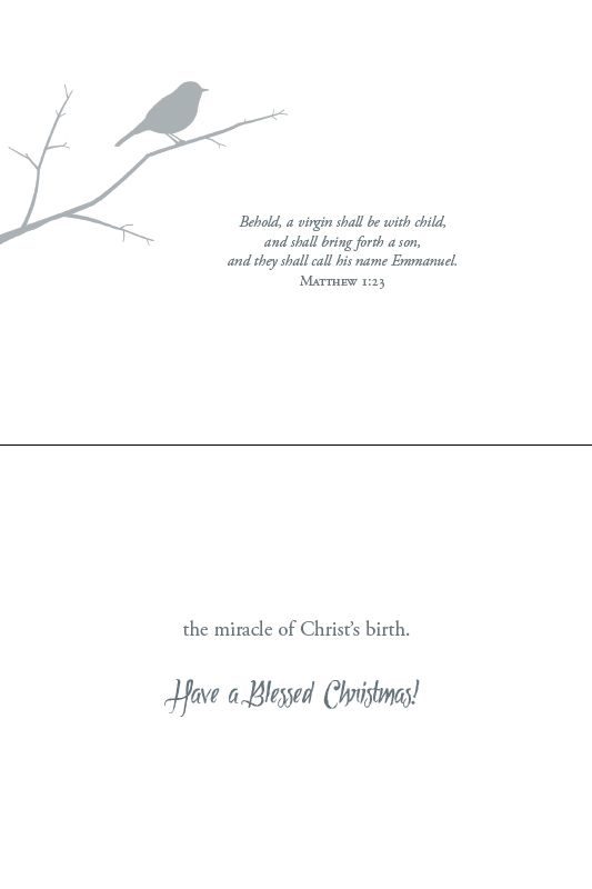 Christmas Birds Boxed Christmas Cards (Box of 12) - Re-vived