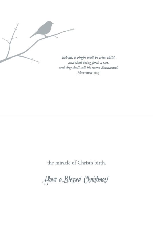 Christmas Birds Boxed Christmas Cards (Box of 12)