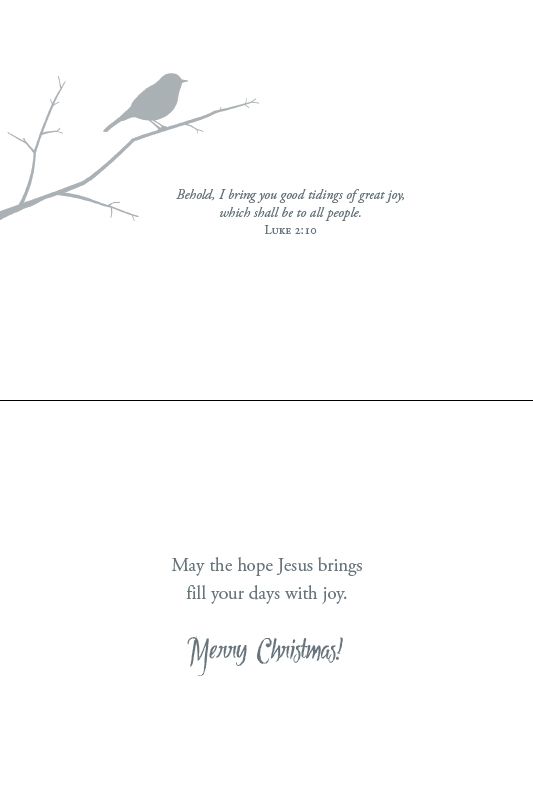 Christmas Birds Boxed Christmas Cards (Box of 12) - Re-vived