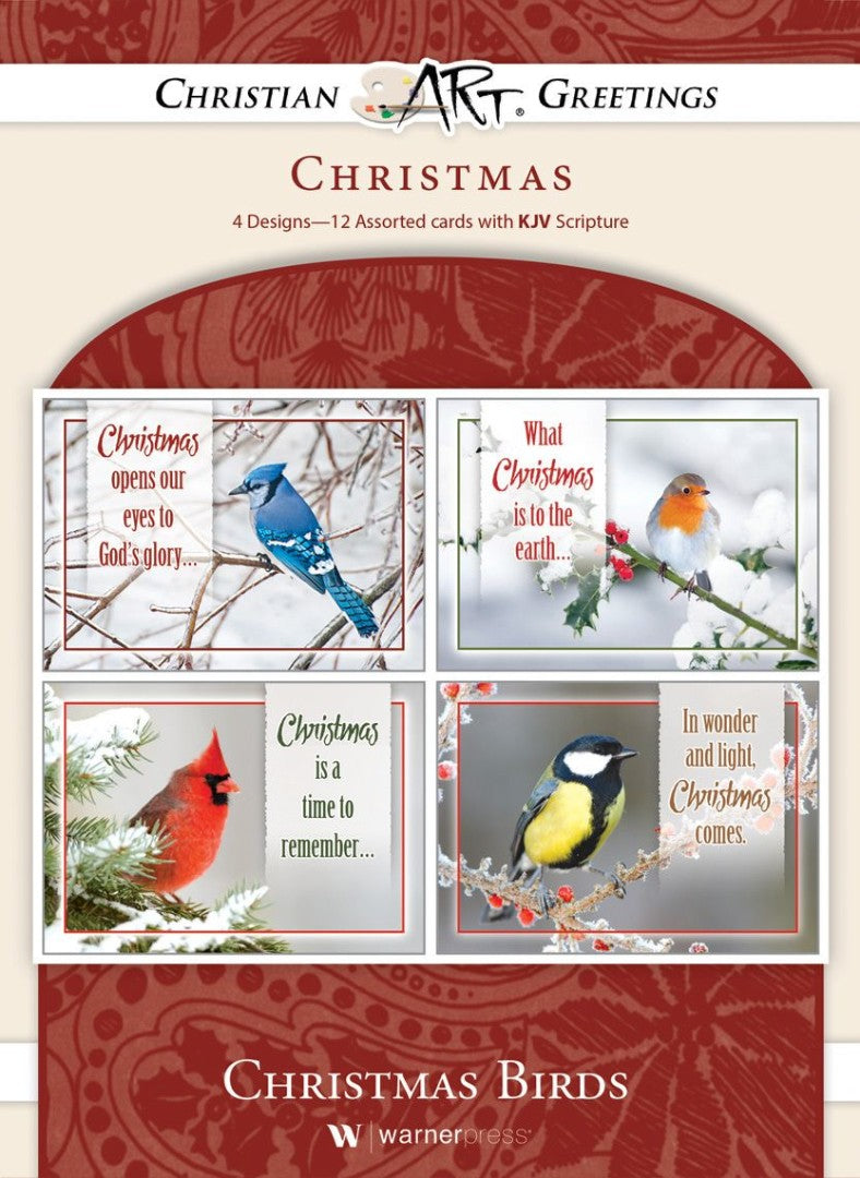 Christmas Birds Boxed Christmas Cards (Box of 12) - Re-vived