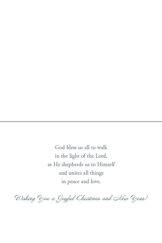 Lights of Christmas Boxed Christmas Cards (Box of 12) - Re-vived
