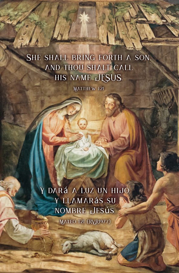 She Shall Bring Forth a Son Bilingual Bulletin (pack of 100)