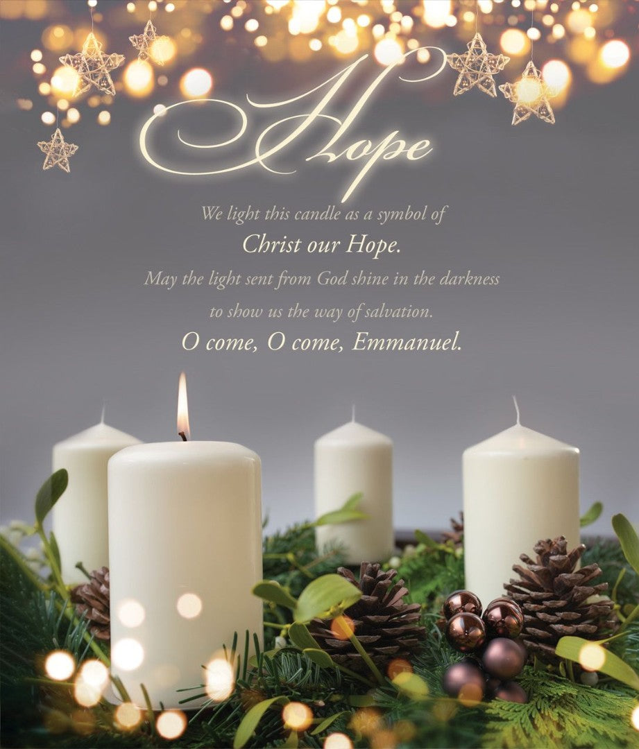 Hope Advent Week 1 Large Bulletin (pack of 100) - Re-vived
