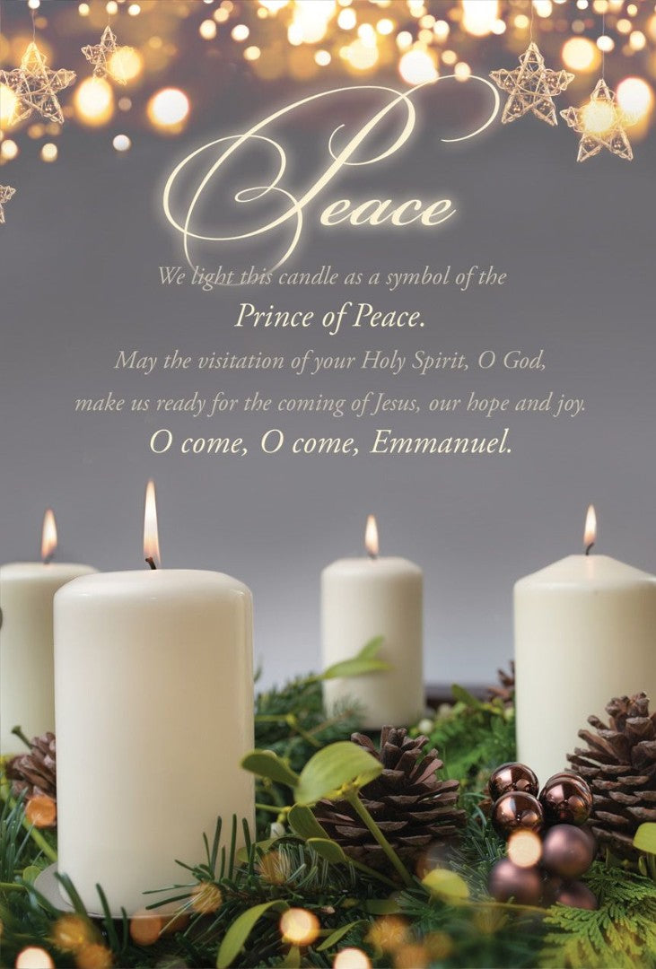 Peace Advent Week 4 Bulletin (pack of 100)