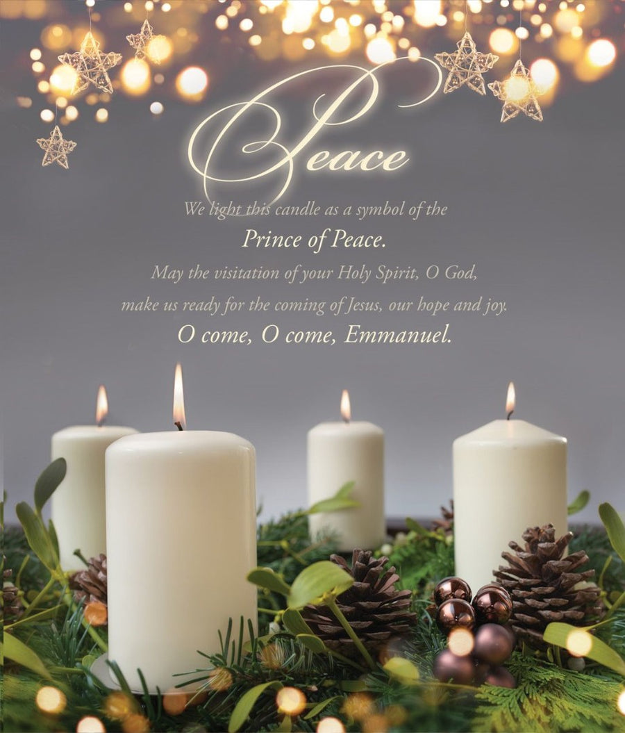Peace Advent Week 4 Large Bulletin (pack of 100) - Re-vived