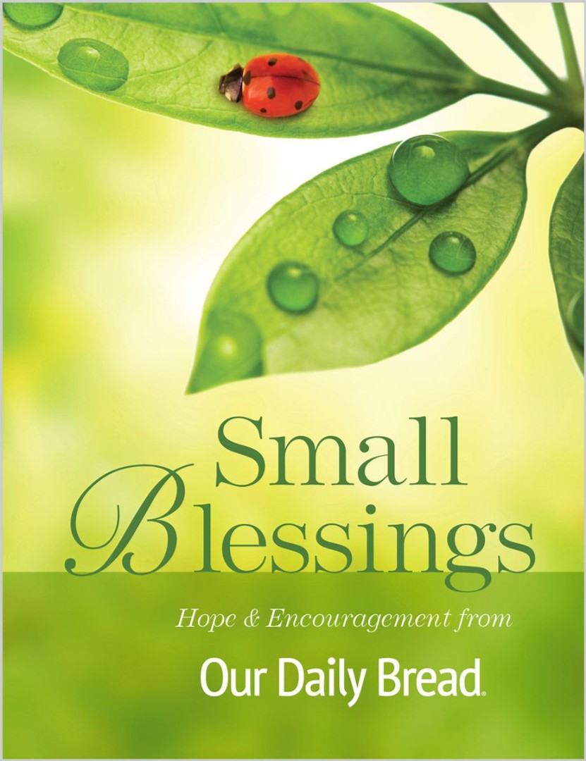 Small Blessings - Re-vived