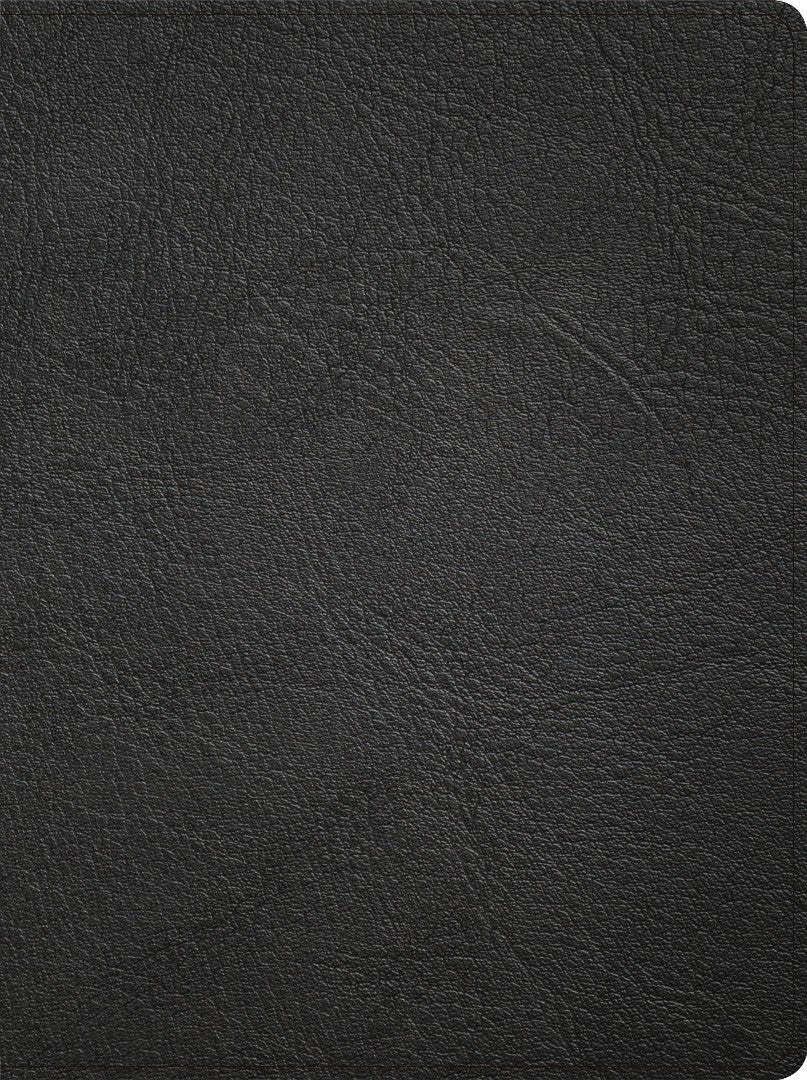 CSB Life Counsel Bible, Genuine Leather