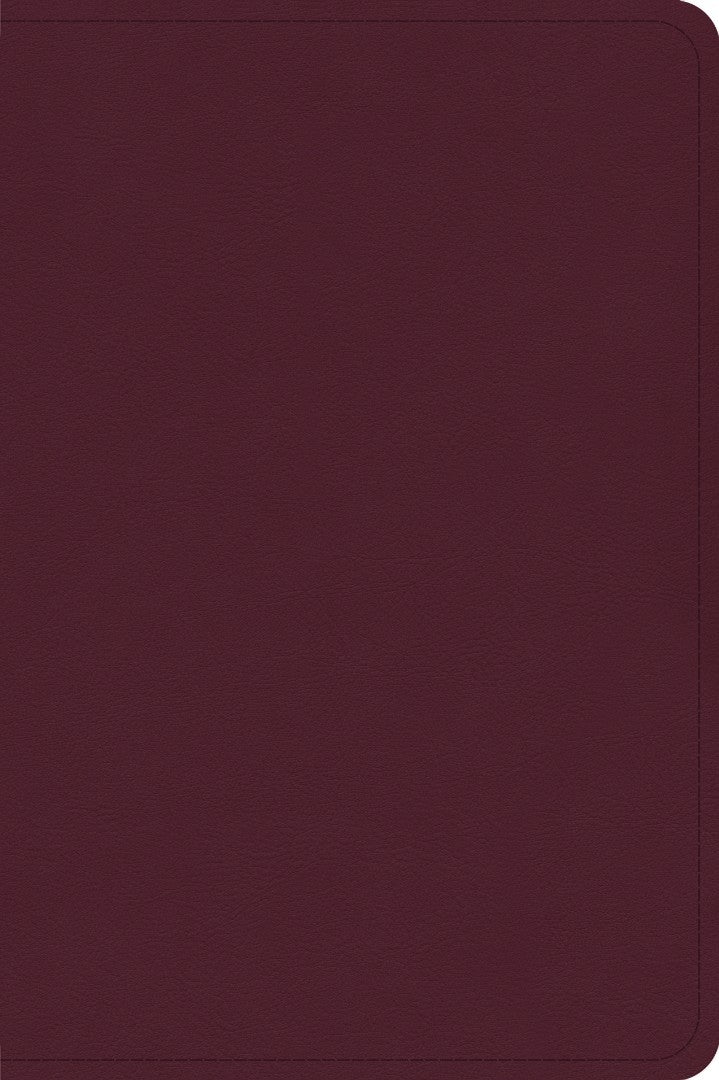 CSB Large Print Compact Reference Bible, Cranberry