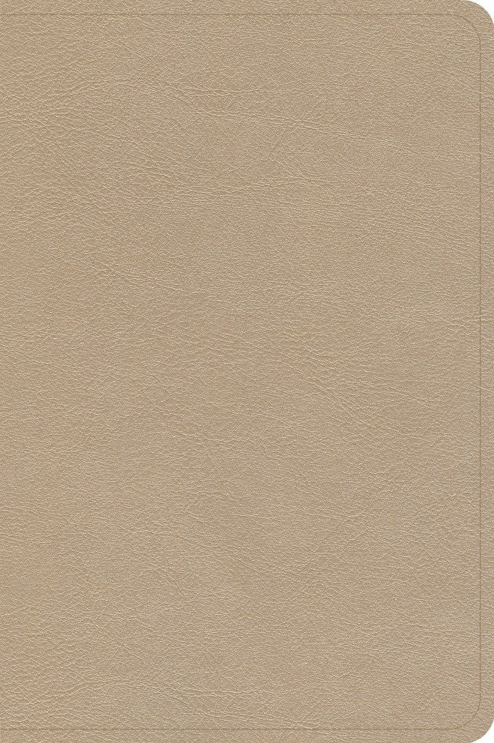 CSB Large Print Compact Reference Bible, Gold Leathertouch