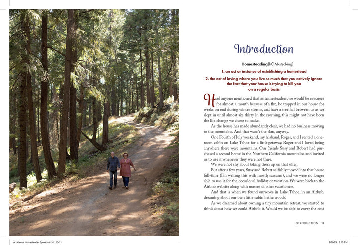 The Accidental Homesteader - Re-vived