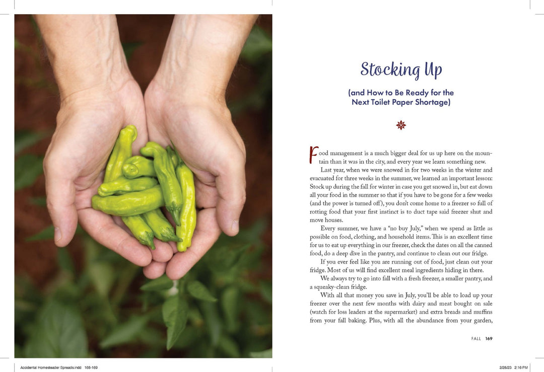 The Accidental Homesteader - Re-vived