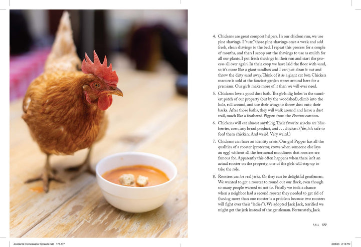The Accidental Homesteader - Re-vived