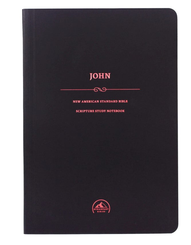 NASB Scripture Study Notebook: John - Re-vived