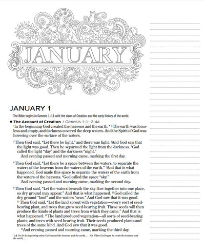 One Year Chronological Bible Expressions