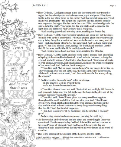 One Year Chronological Bible Expressions