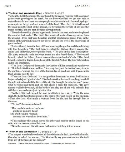 One Year Chronological Bible Expressions
