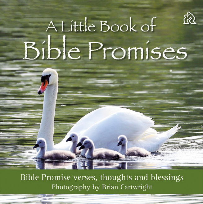 A Little Book of Bible Promises - Re-vived