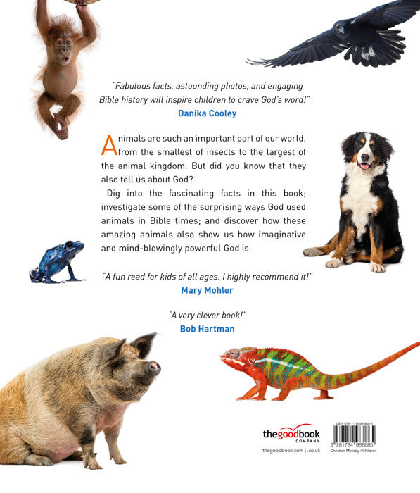 All About Bible Animals - Re-vived