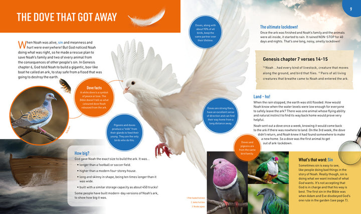 All About Bible Animals - Re-vived