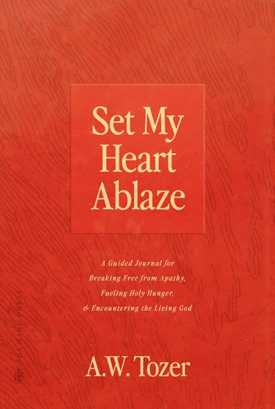 Set My Heart Ablaze - Re-vived