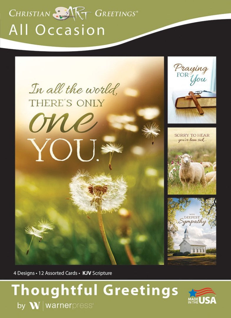 Thoughtful Greetings All Occasion Boxed Cards (box of 12)
