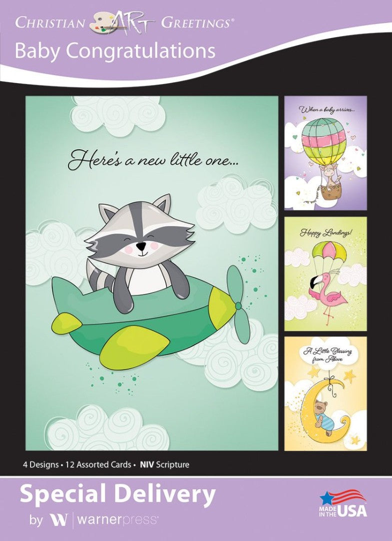 Special Delivery Boxed Cards (box of 12) – Re-vived