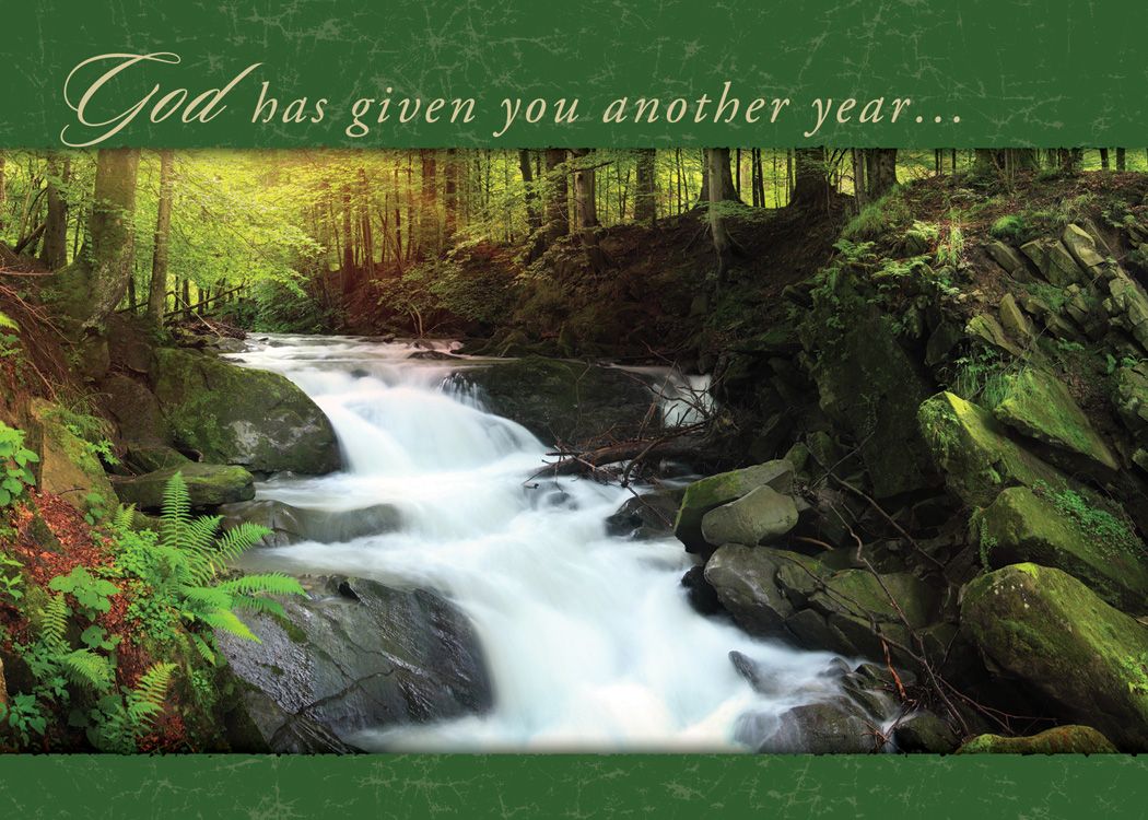 Faithful Falls Birthday Boxed Cards (box of 12) - Re-vived
